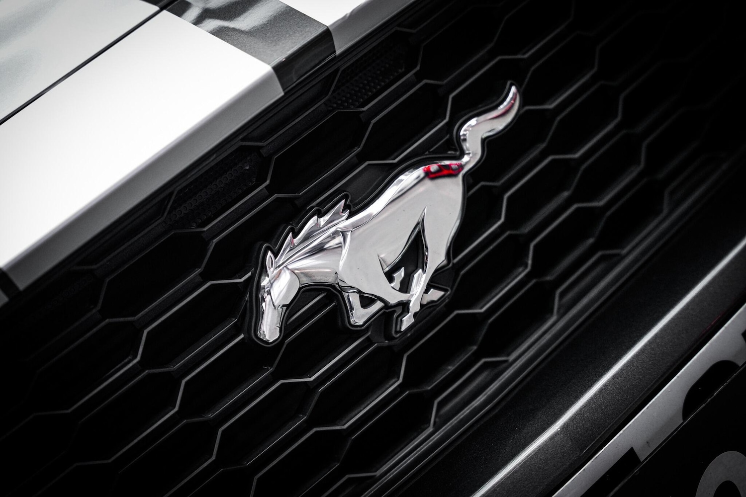 Used Ford Mustang 2018 for sale - 77599062: Photo 30