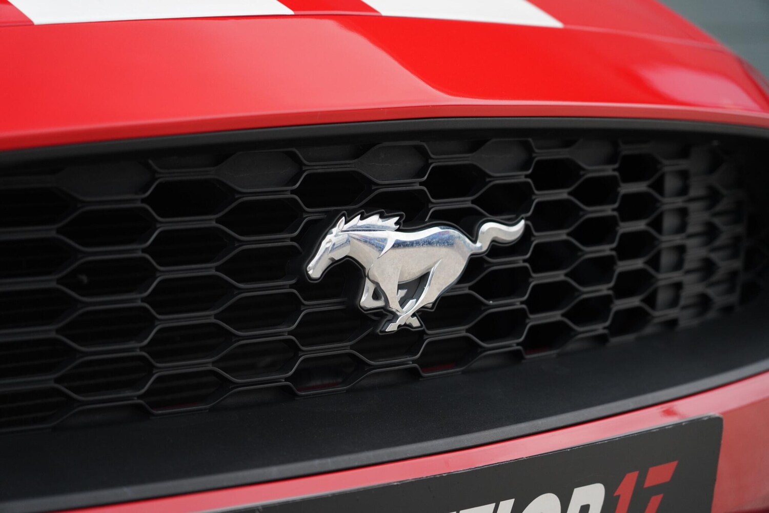 Used Ford Mustang 2019 for sale - 78185052: Photo 32