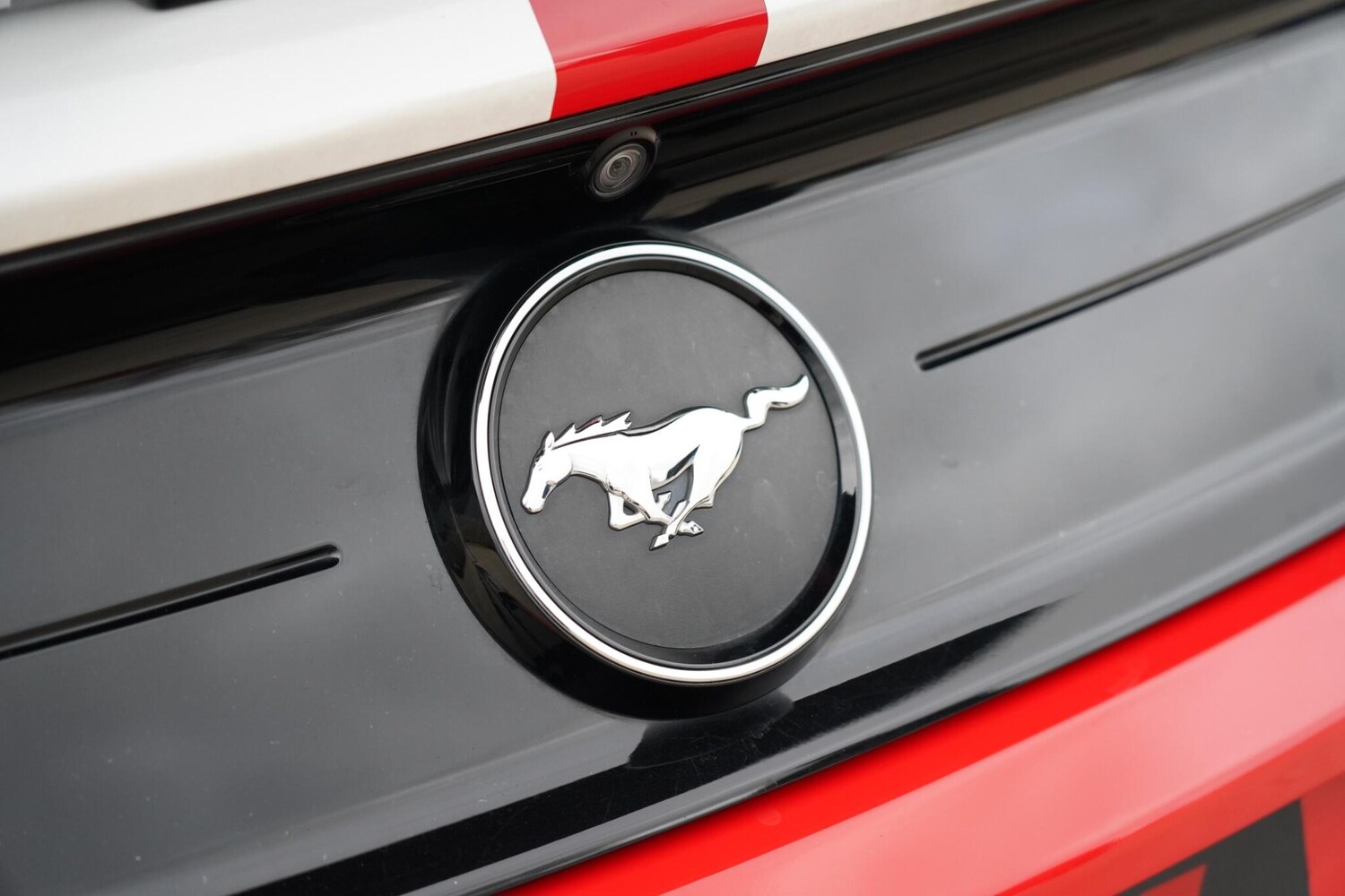 Used Ford Mustang 2019 for sale - 78185052: Photo 33