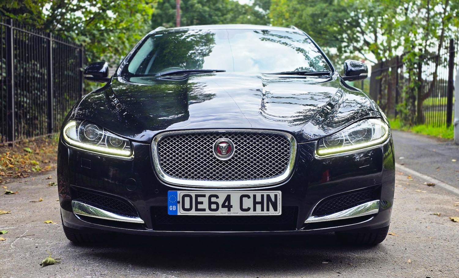 Used Jaguar XF 2014 for sale - 77782010: Photo 3