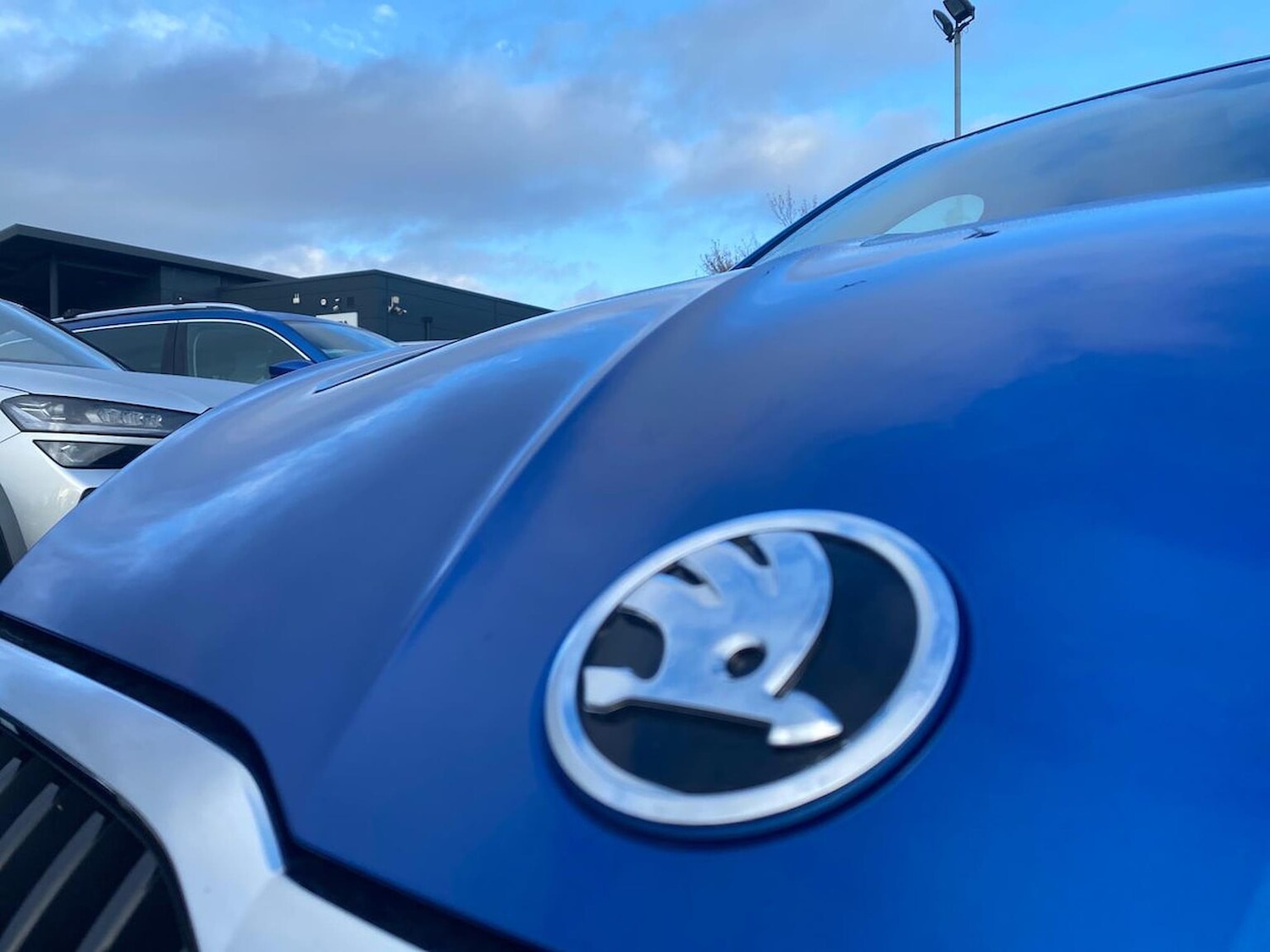 Used Skoda Fabia 2025 for sale - 76506120: Photo 29