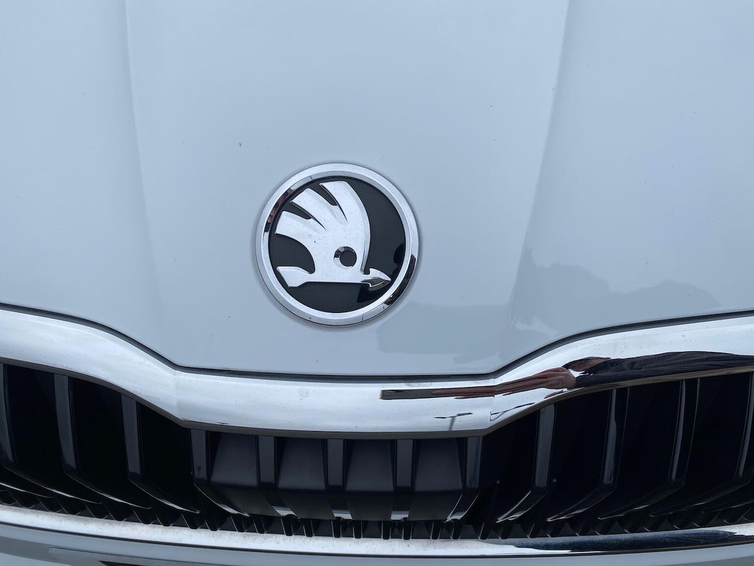 Used Skoda Fabia 2024 for sale - 77872128: Photo 33