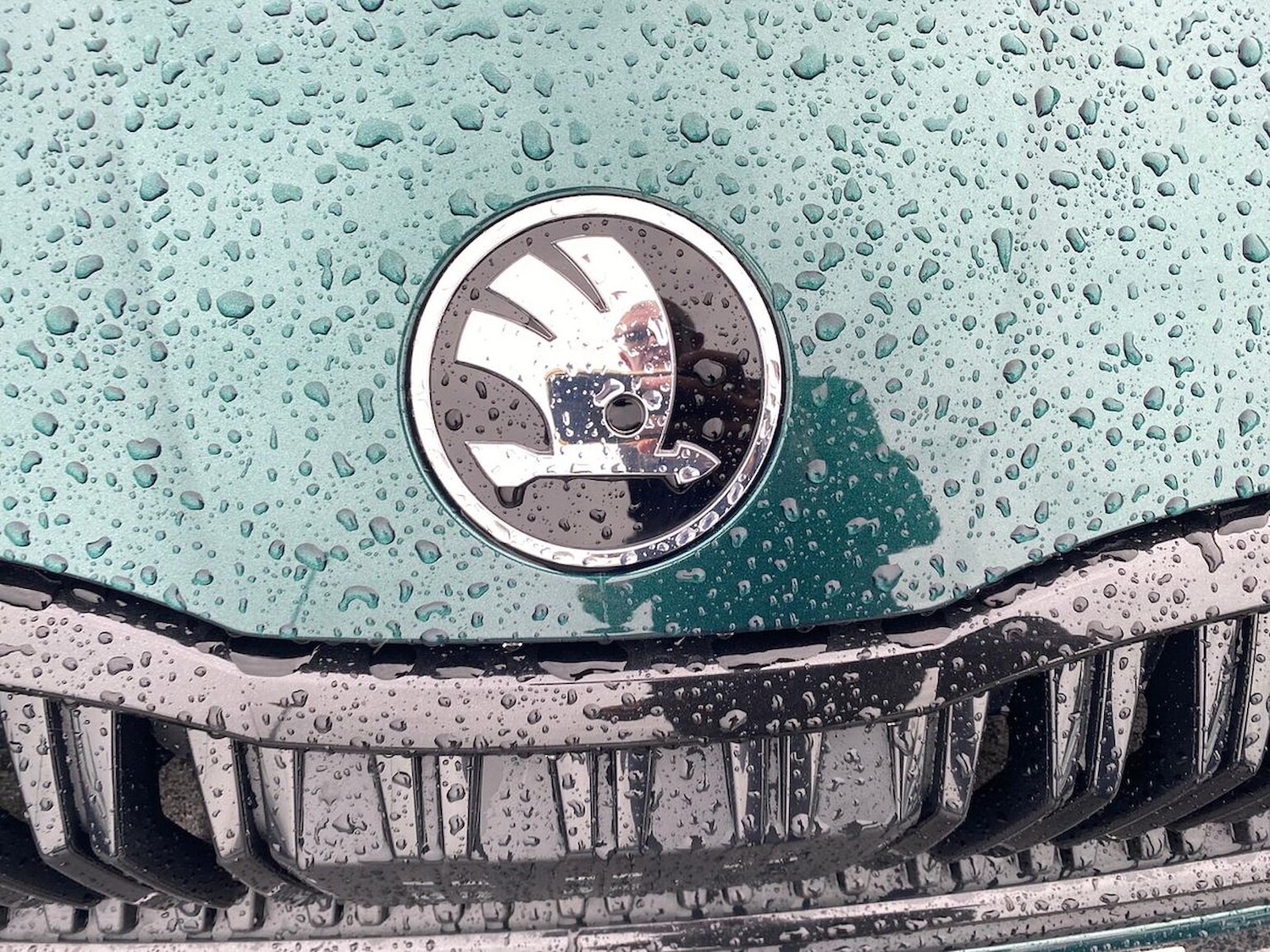 Used Skoda Octavia 2025 for sale - 76187143: Photo 34