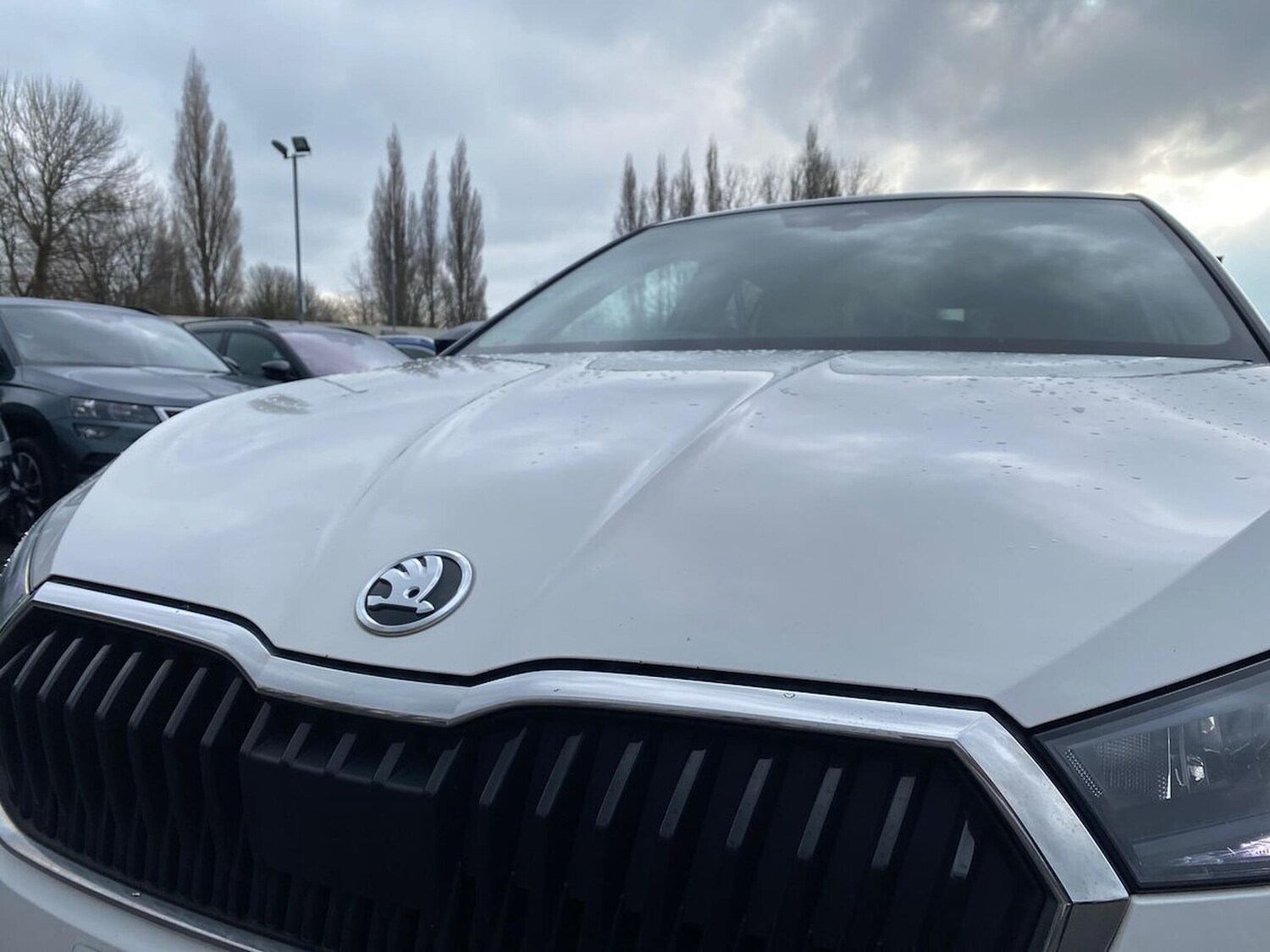 Used Skoda Fabia 2022 for sale - 77901572: Photo 31