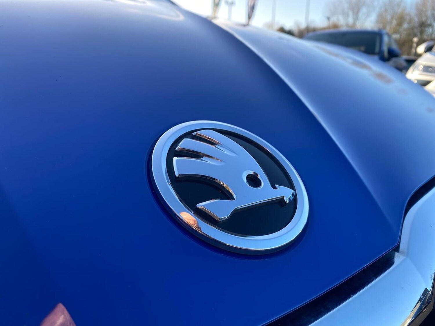 Used Skoda Fabia 2022 for sale - 76794902: Photo 31