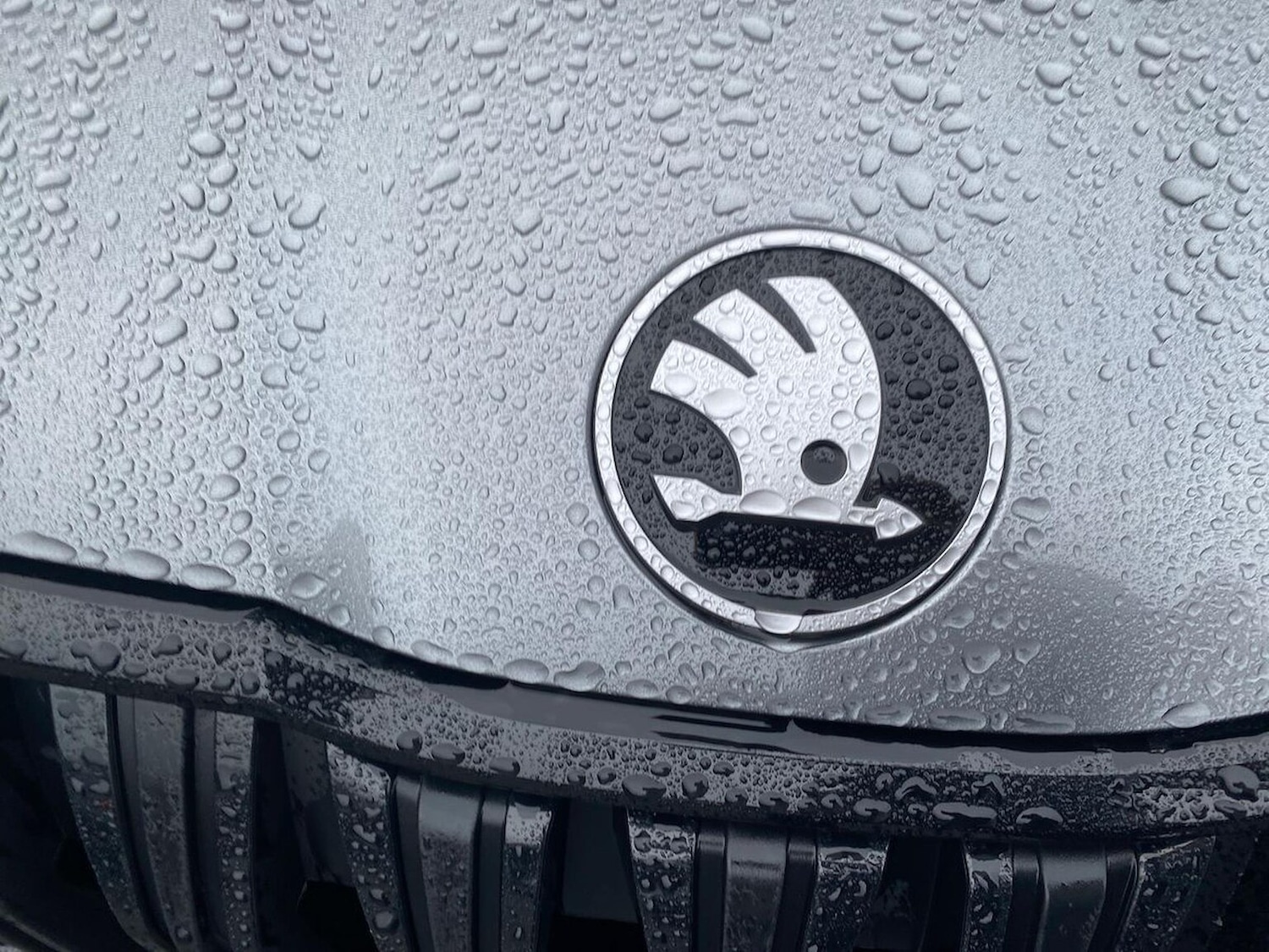 Used Skoda Kodiaq 2025 for sale - 76859198: Photo 32