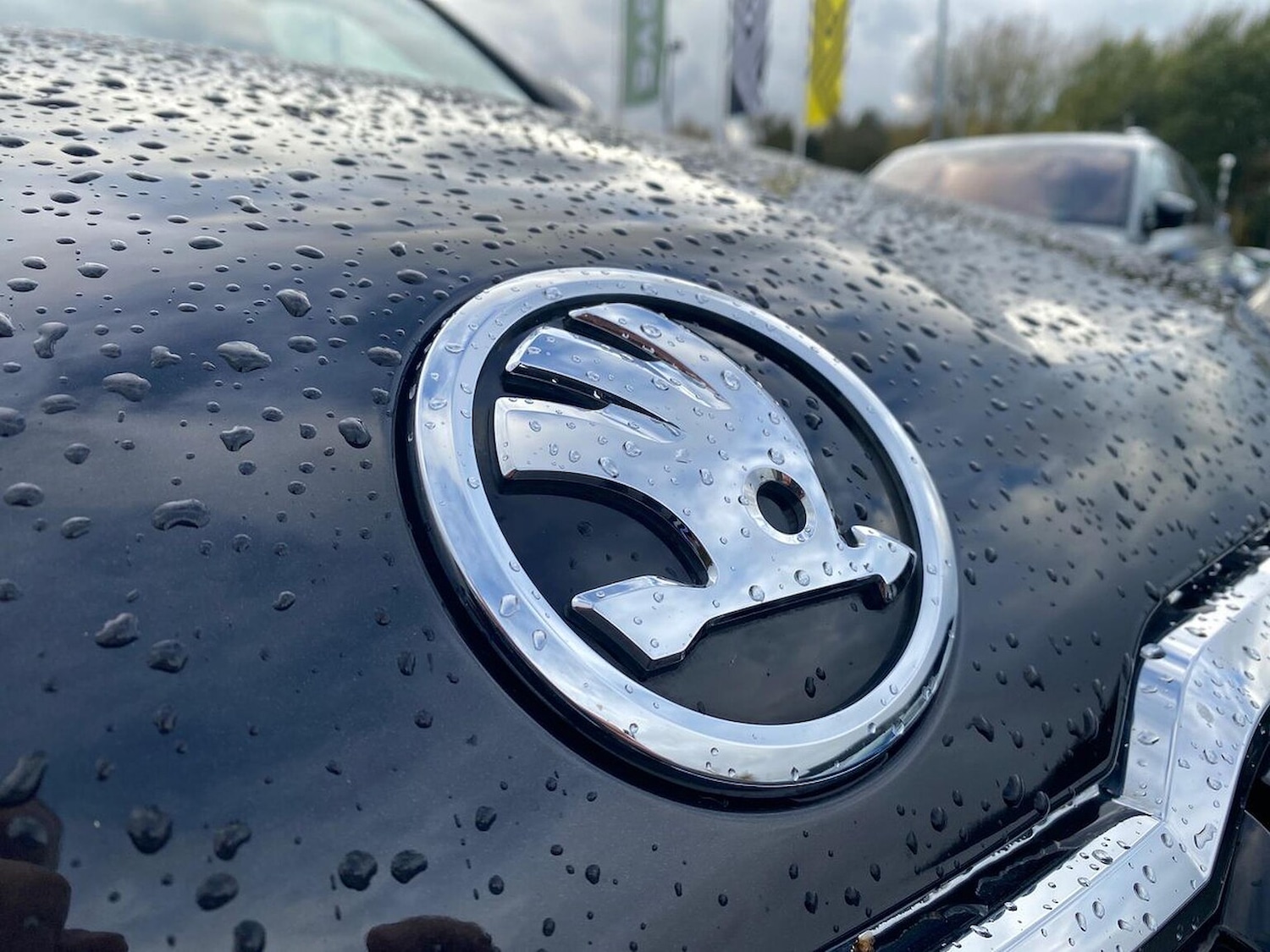 Used Skoda Karoq 2024 for sale - 76430762: Photo 33