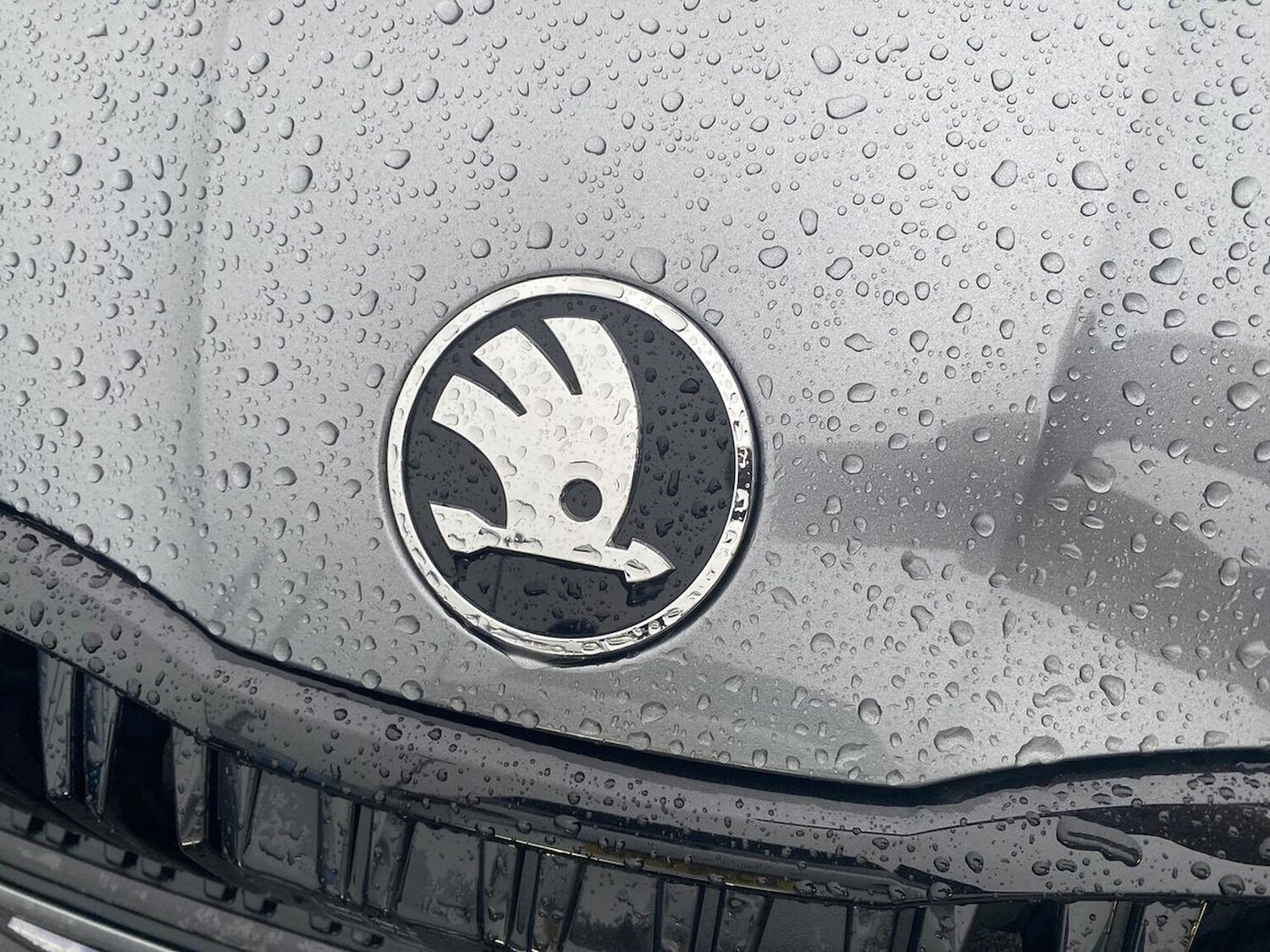 Used Skoda Octavia 2025 for sale - 77001828: Photo 33