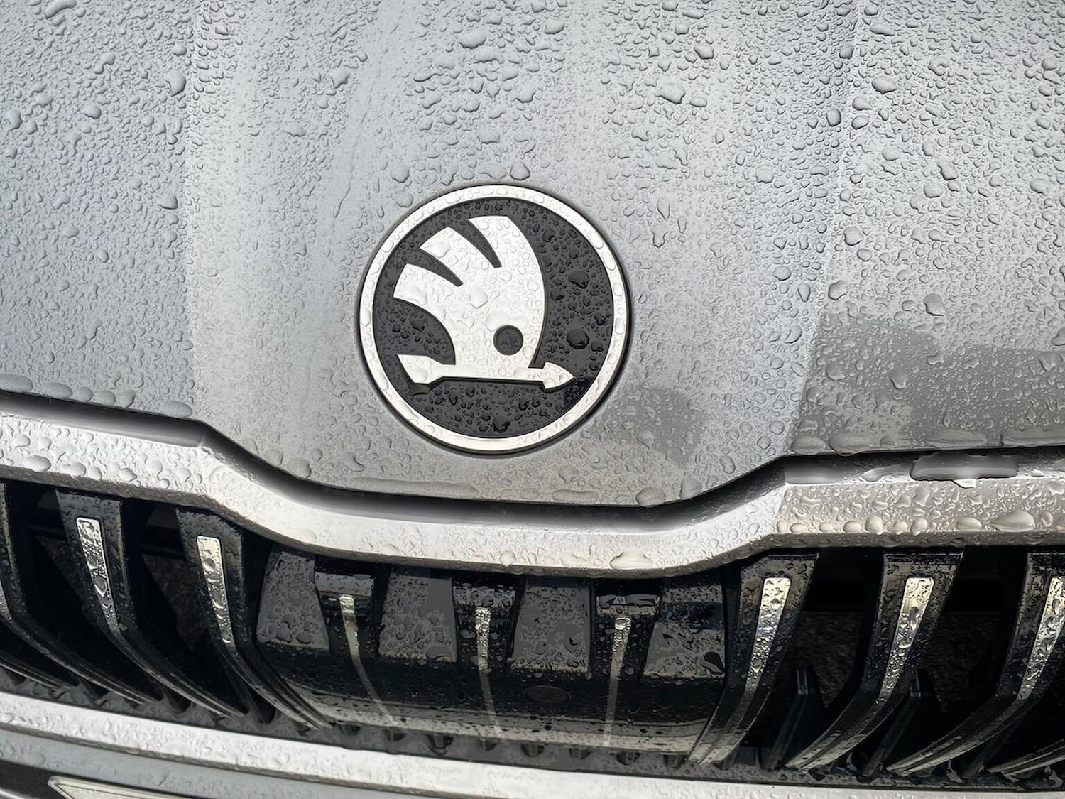 Used Skoda Superb 2024 for sale - 76859199: Photo 32