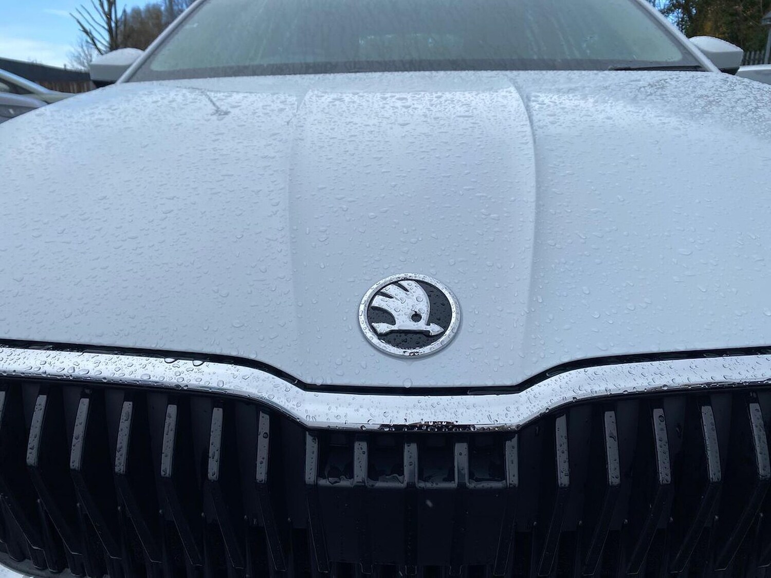 Used Skoda Fabia 2025 for sale - 78193341: Photo 33