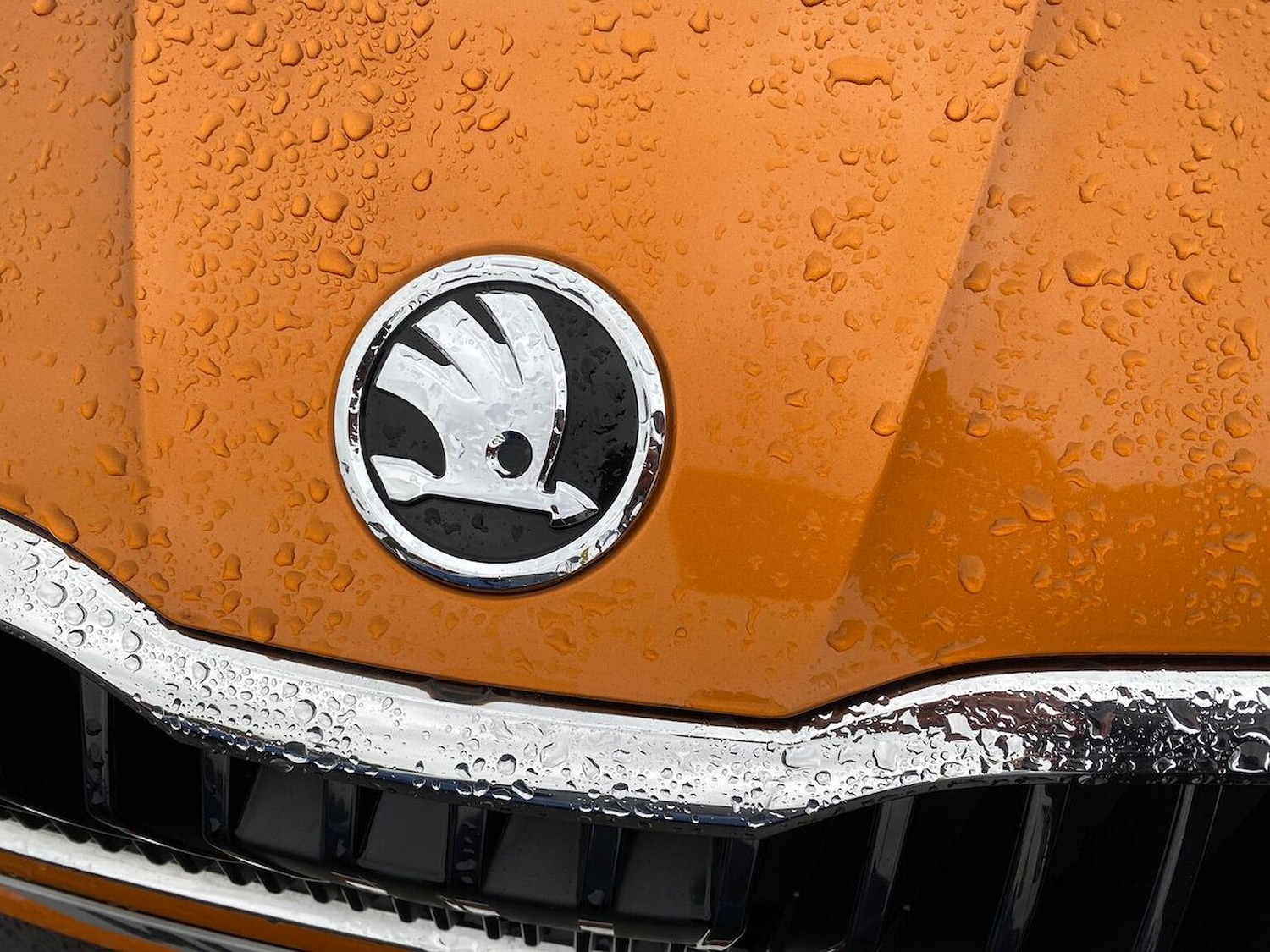 Used Skoda Fabia 2022 for sale - 76232802: Photo 32