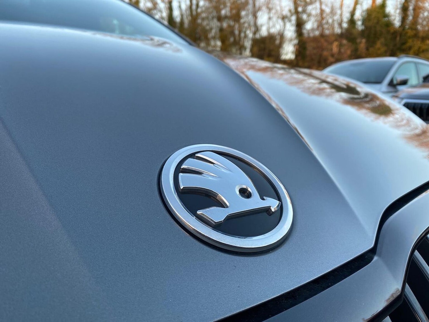 Used Skoda Fabia 2023 for sale - 76613637: Photo 30