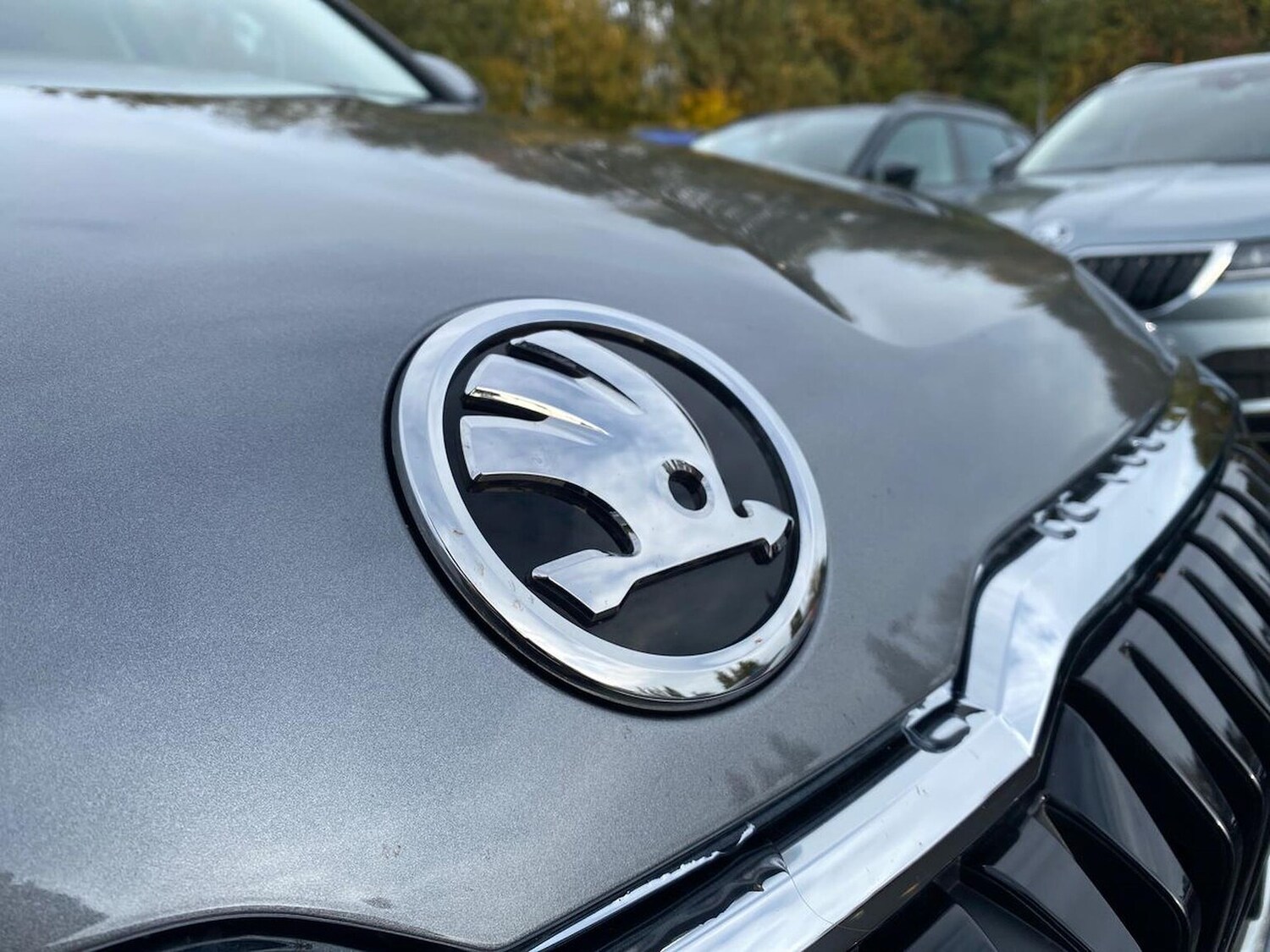 Used Skoda Karoq 2025 for sale - 76426787: Photo 32