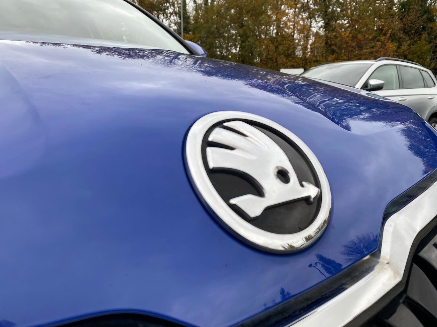 Used Skoda Karoq 2022 for sale - 76506121: Photo 29