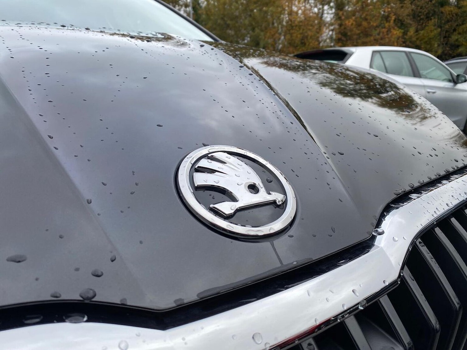 Used Skoda Fabia 2025 for sale - 76510707: Photo 29