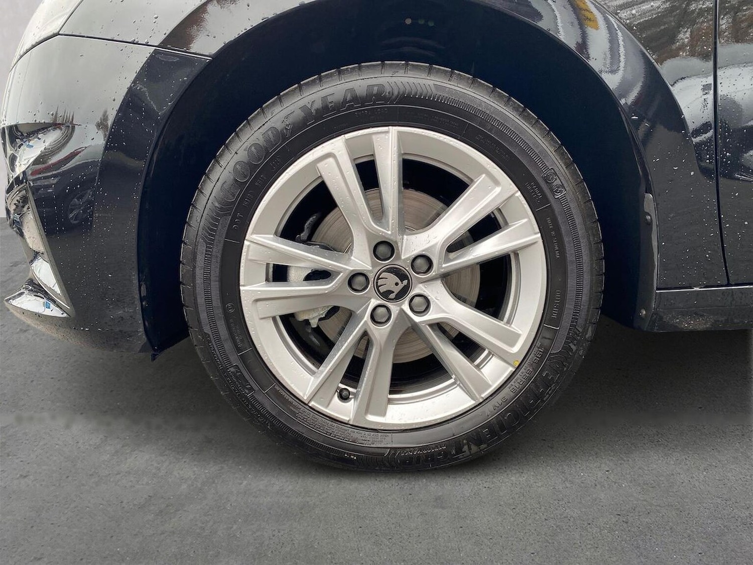 Used Skoda Fabia 2025 for sale - 76510707: Photo 6