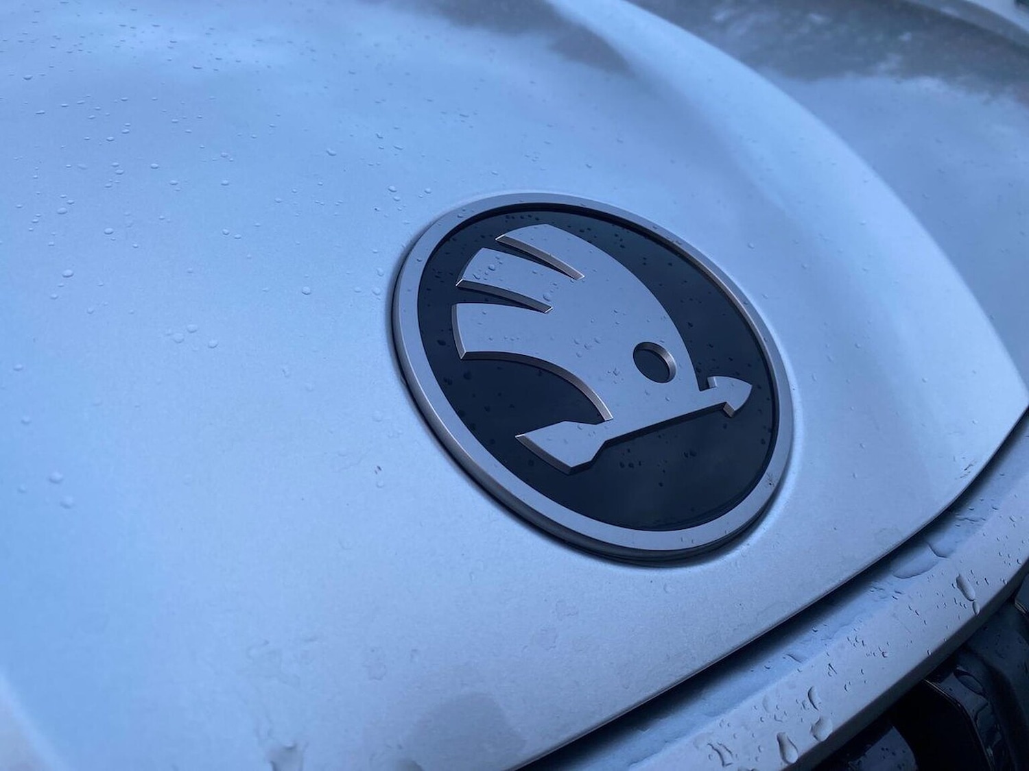 Used Skoda Kodiaq 2024 for sale - 76510710: Photo 32