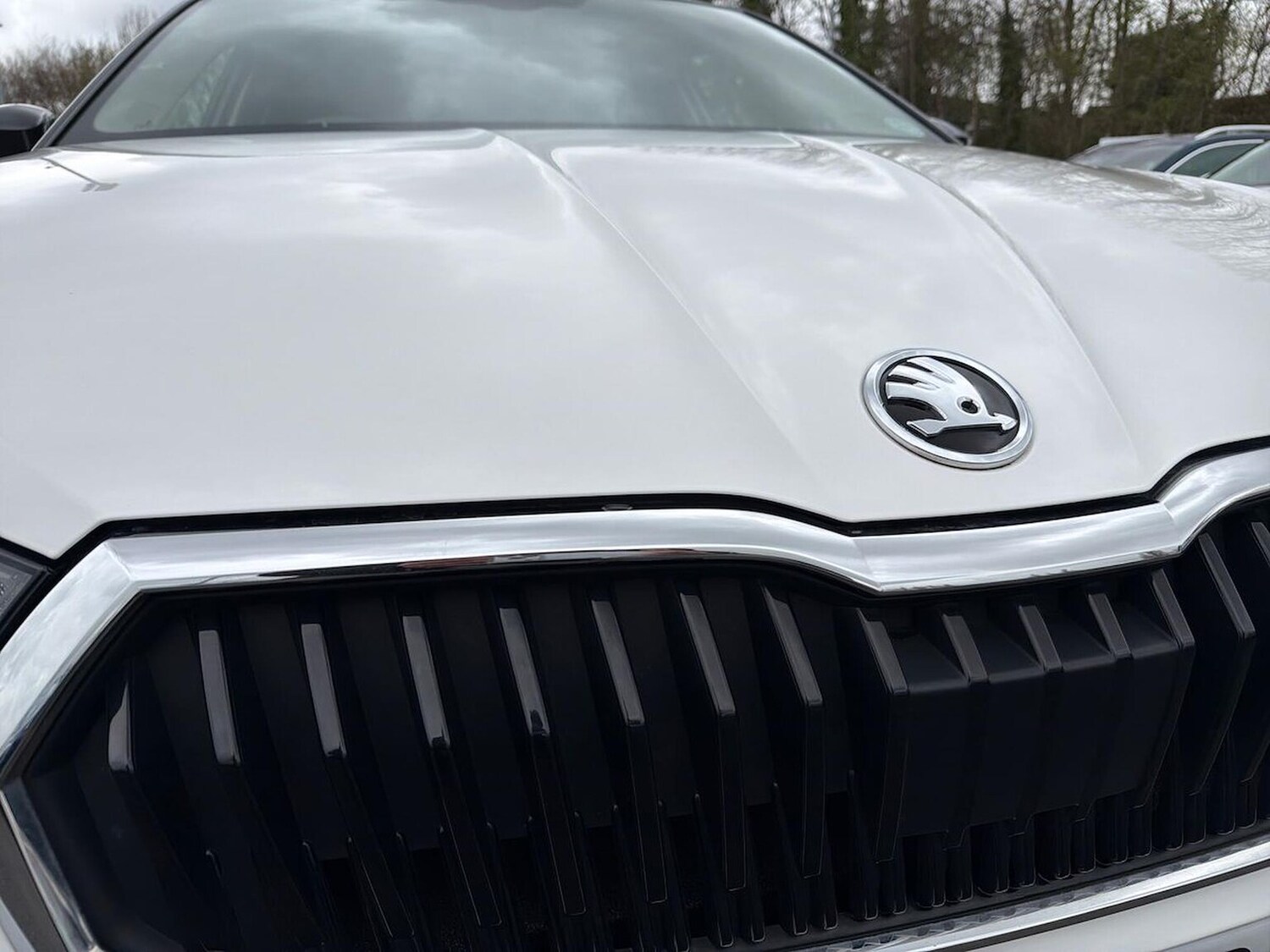 Used Skoda Fabia 2023 for sale - 78193383: Photo 34