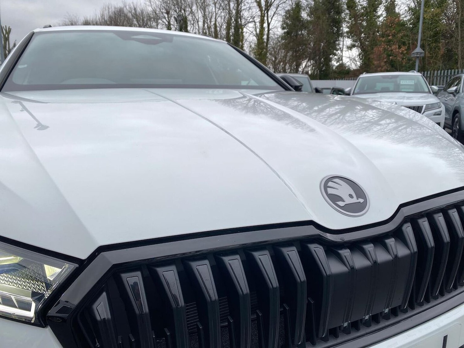 Used Skoda Superb 2026 for sale - 77916165: Photo 33