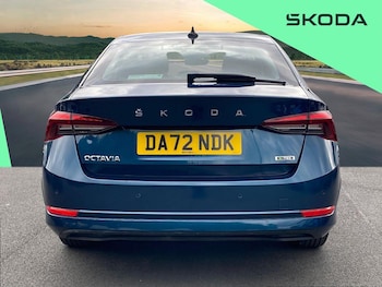 Used Skoda Octavia 2023 for sale - 79439055: Photo