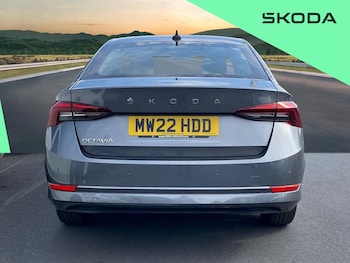 Used Skoda Octavia 2022 for sale - 79379625: Photo