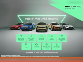 Used Skoda Octavia 2023 for sale - 79321605: Photo