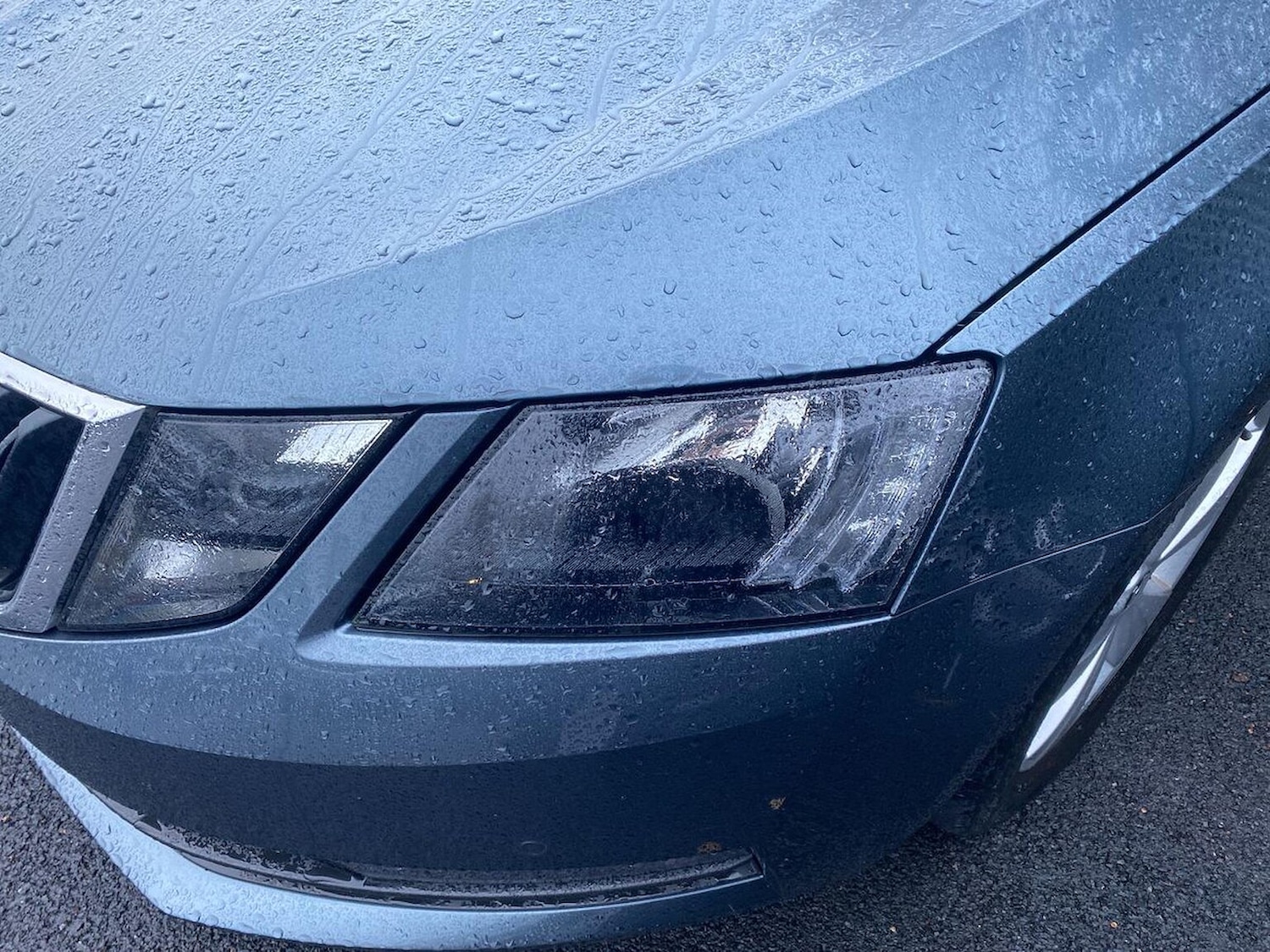 Used Skoda Octavia 2019 for sale - 76892167: Photo 33