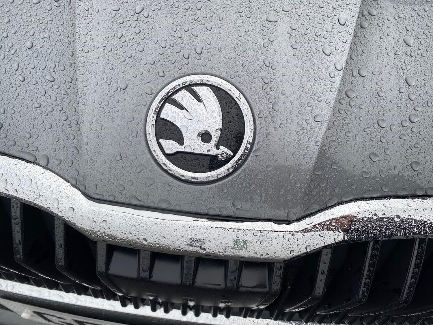 Used Skoda Fabia 2024 for sale - 76859236: Photo 32