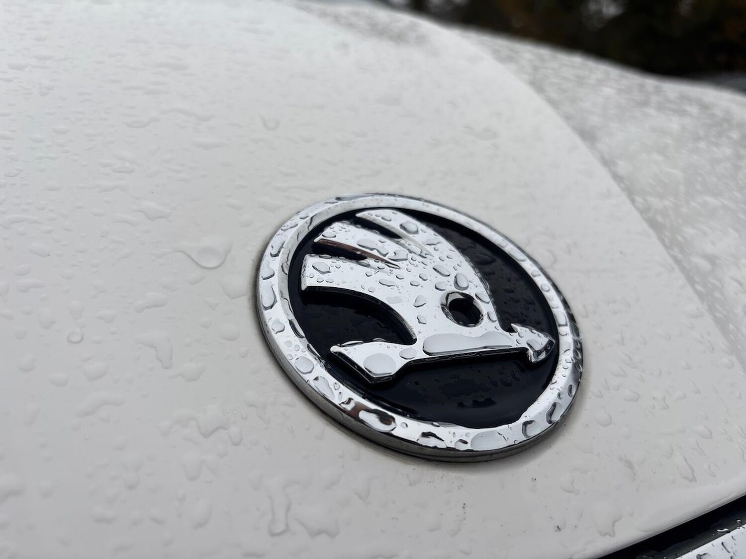 Used Skoda Fabia 2022 for sale - 76559774: Photo 32