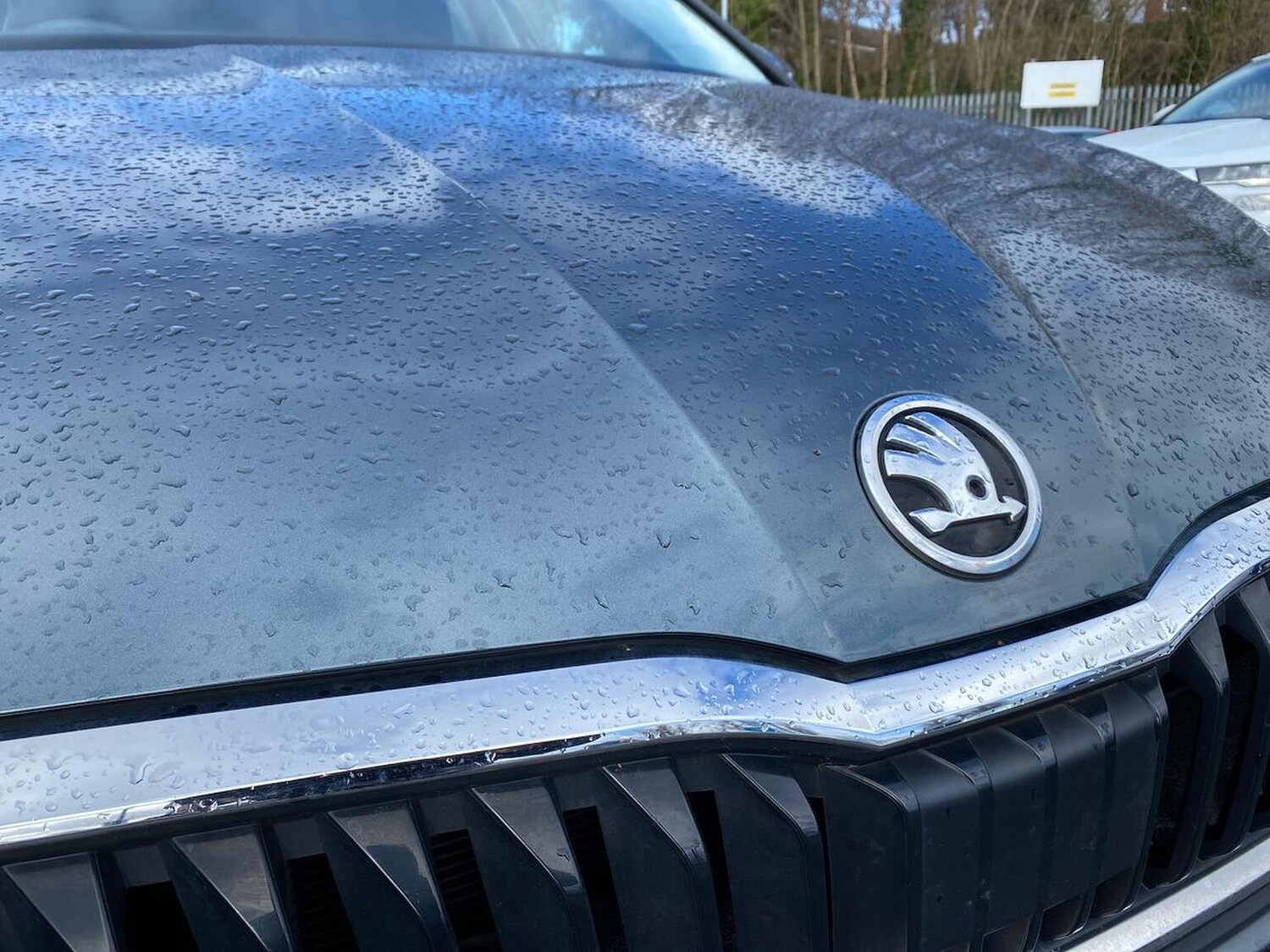 Used Skoda Scala 2019 for sale - 78193262: Photo 33