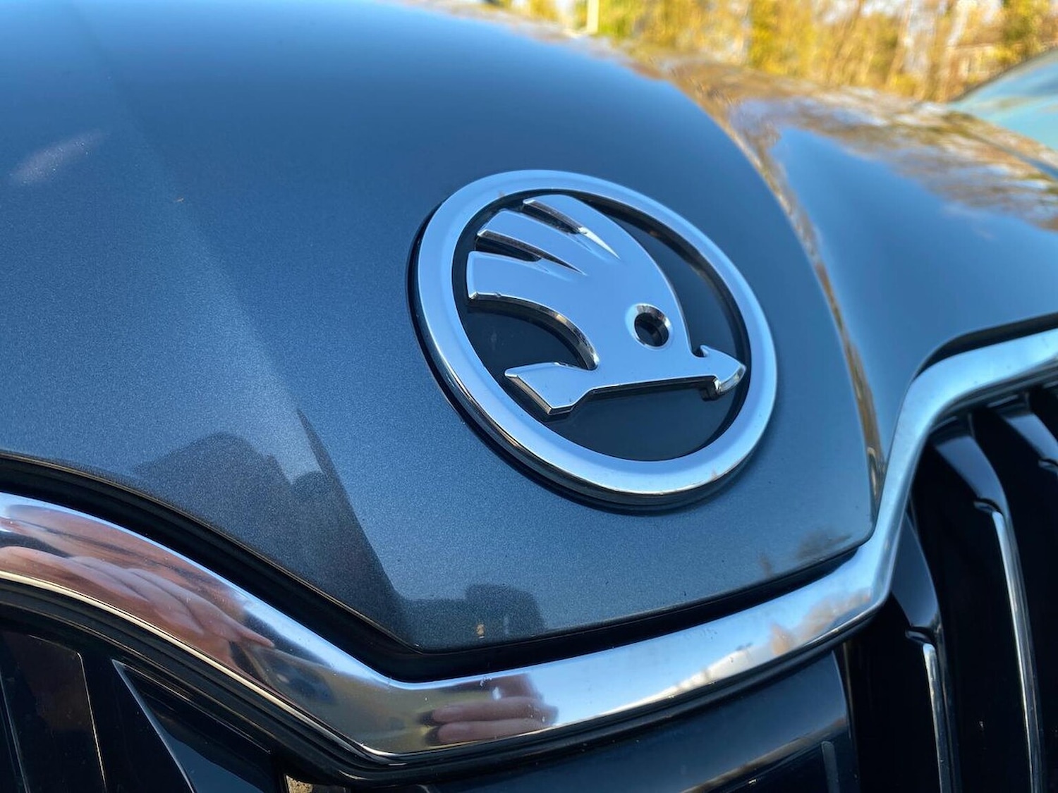 Used Skoda Superb 2016 for sale - 76713231: Photo 32