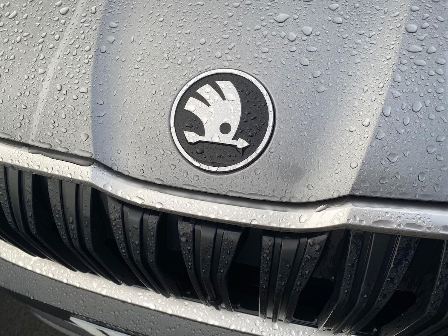 Used Skoda Kodiaq 2024 for sale - 76957528: Photo 33