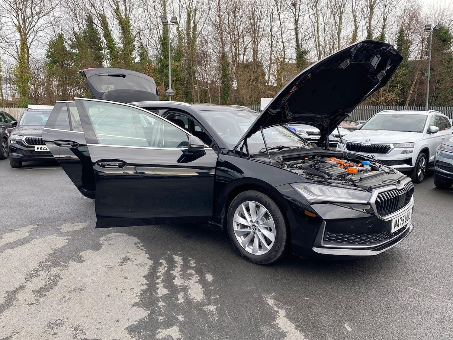 Used Skoda Superb 2026 for sale - 77901581: Photo 41