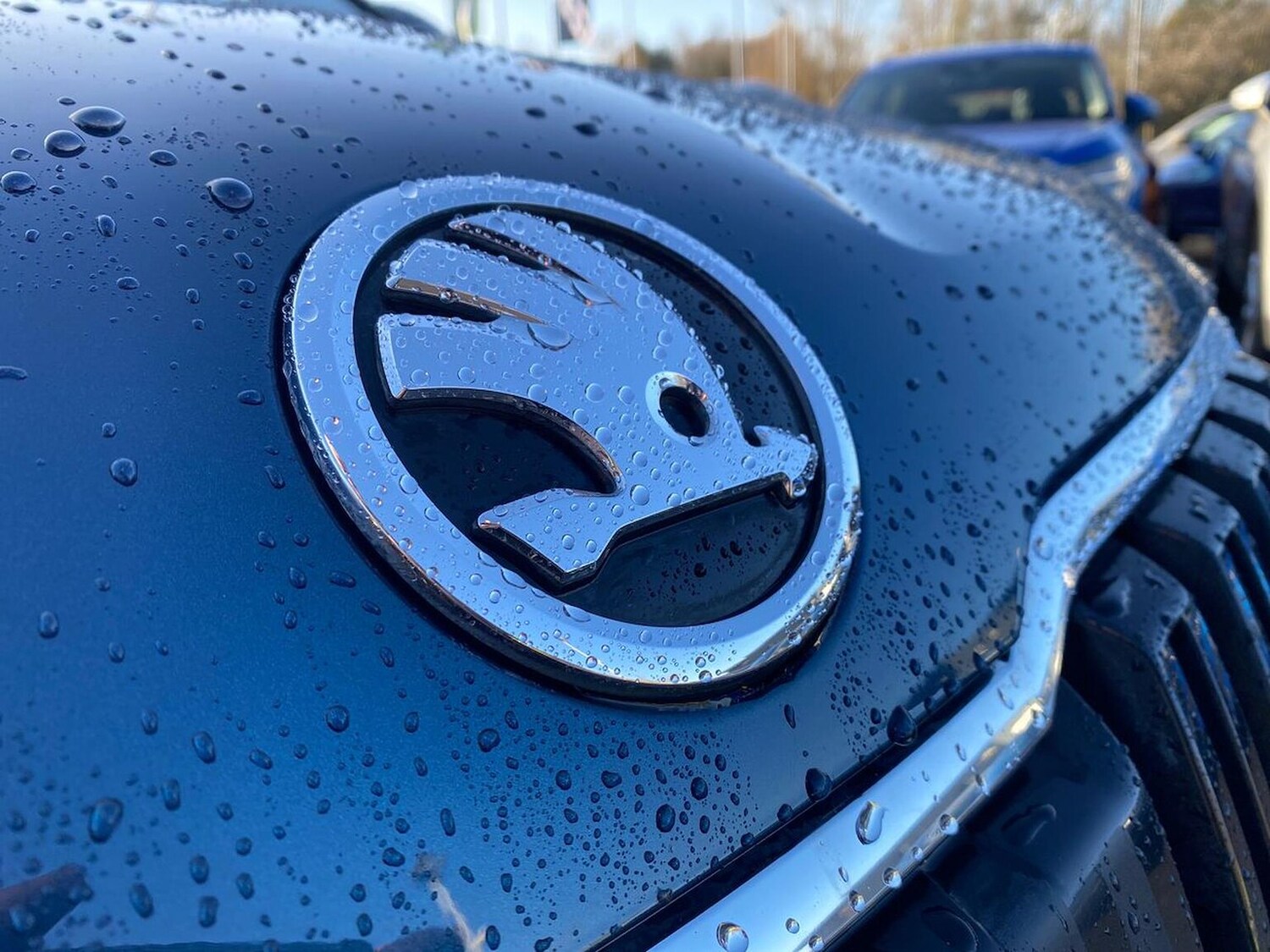 Used Skoda Karoq 2019 for sale - 76794899: Photo 31