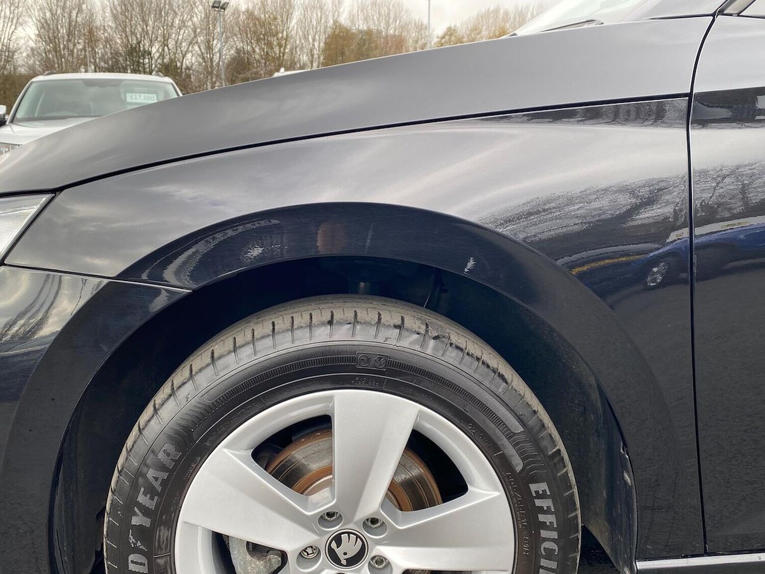 Used Skoda Scala 2025 for sale - 78193241: Photo 36