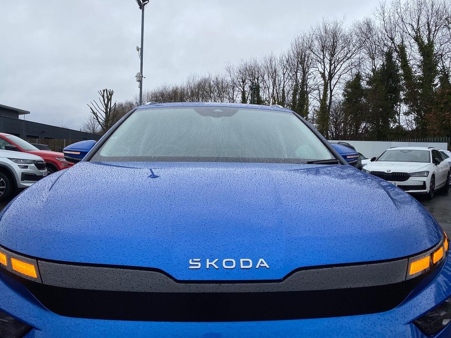 Used Skoda Enyaq 2025 for sale - 78139594: Photo 34