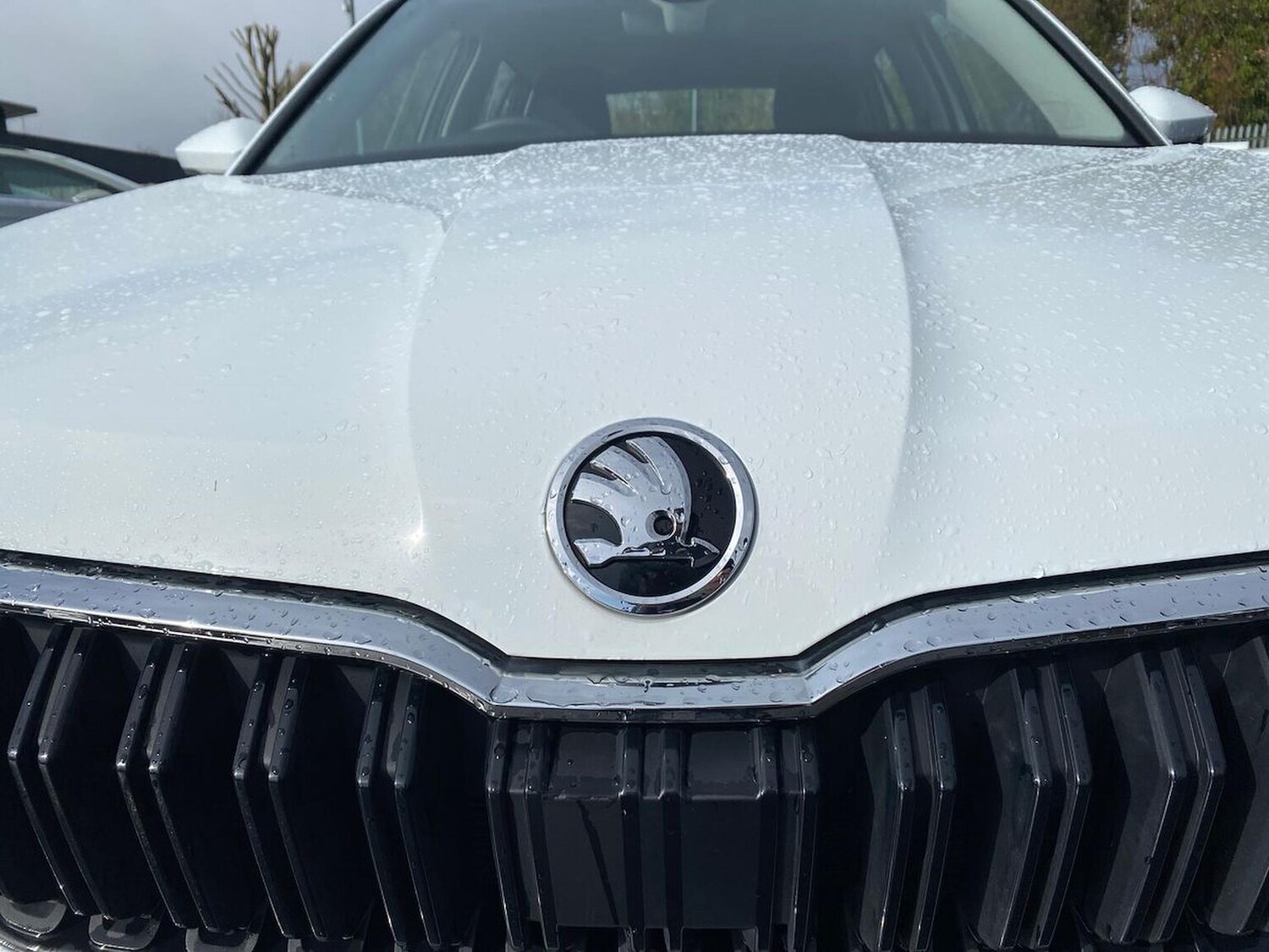 Used Skoda Kamiq 2025 for sale - 78193365: Photo 34