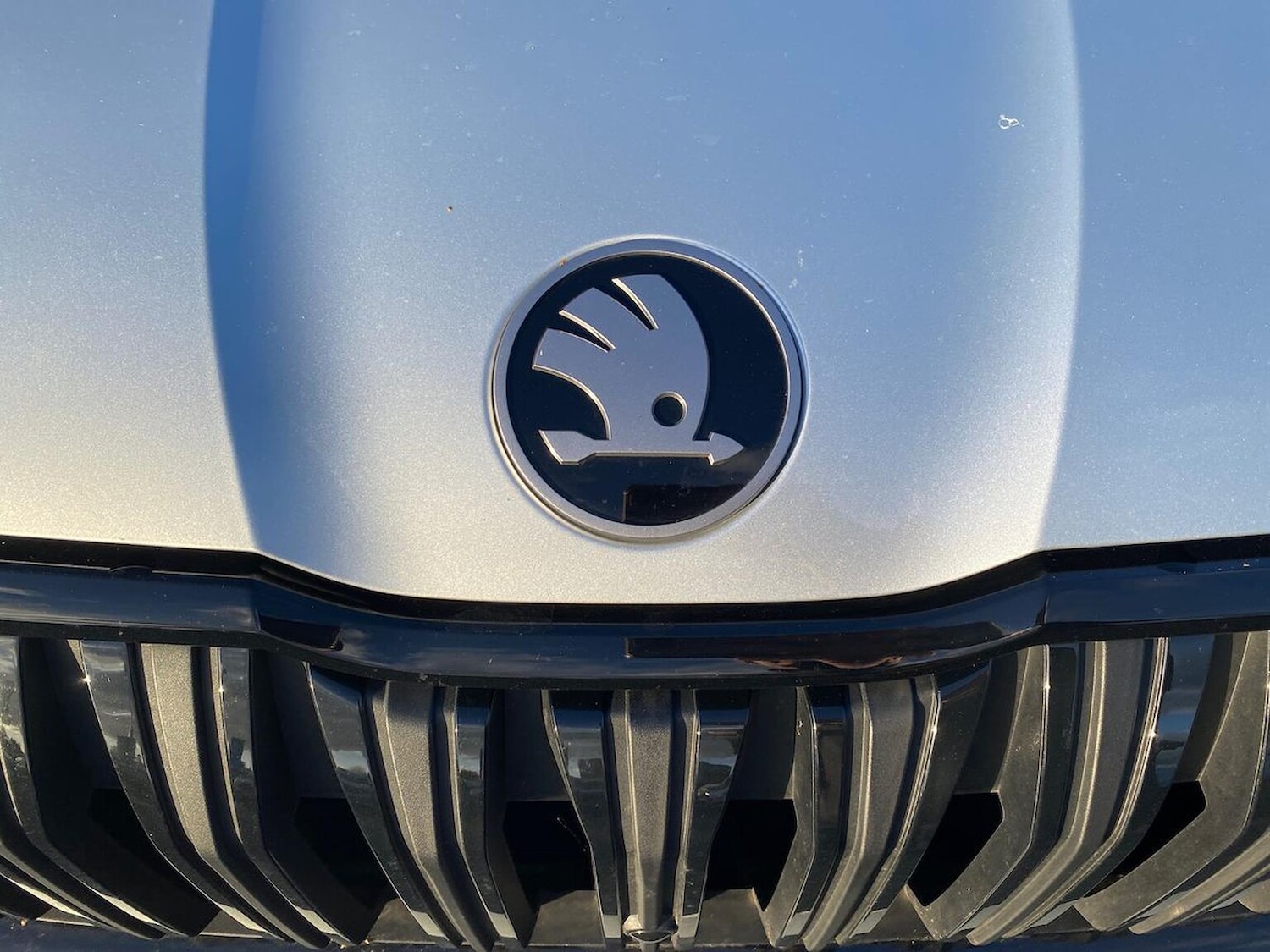 Used Skoda Kodiaq 2025 for sale - 76412484: Photo 33