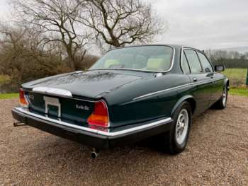 Used Daimler Double Six  for sale - 59709788: Photo