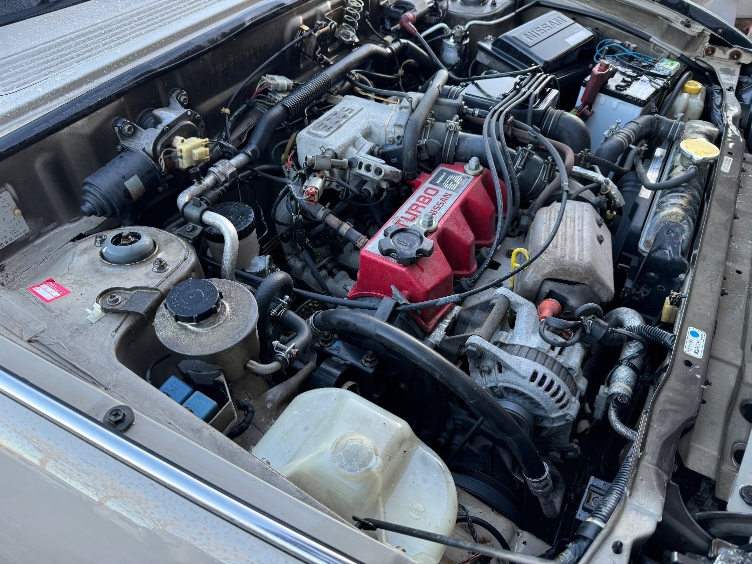 Used Nissan Figaro 1991 for sale - 74791778: Photo 20