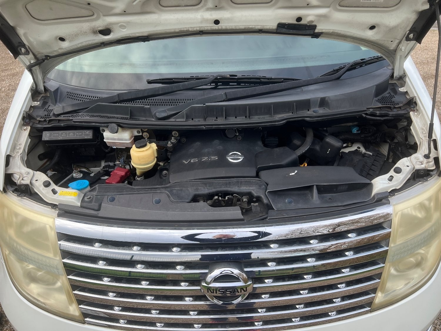 Used Nissan Elgrand 2006 for sale - 75356778: Photo 20