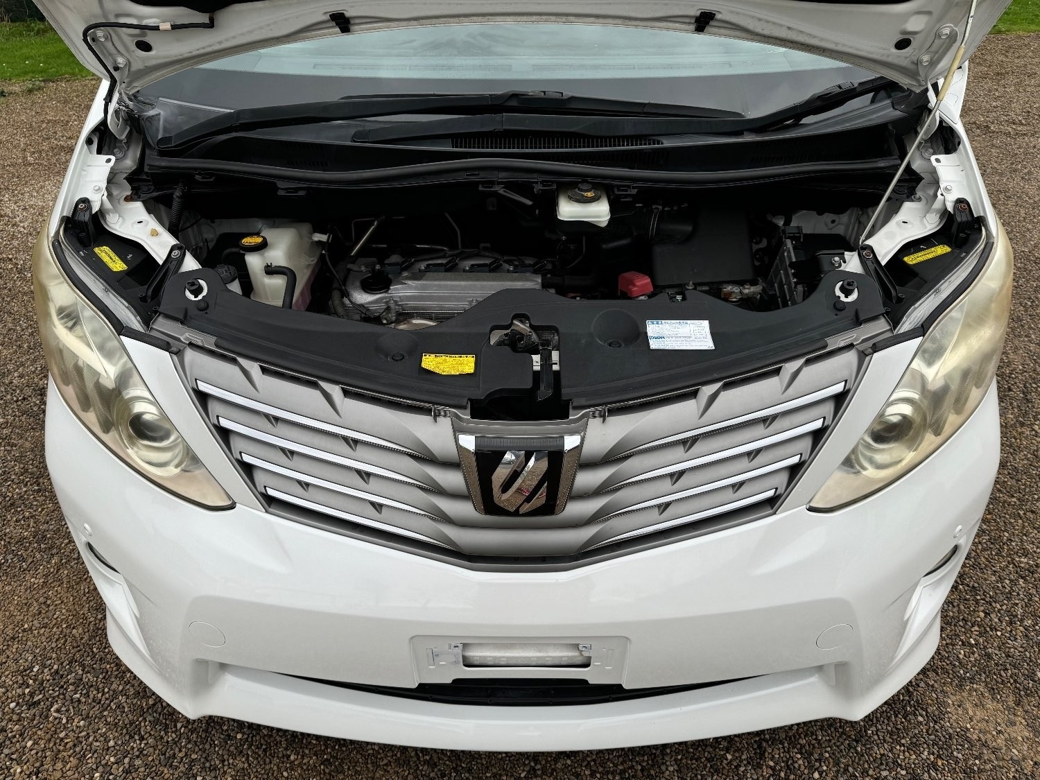 Used Toyota Alphard 2008 for sale - 75261312: Photo 20