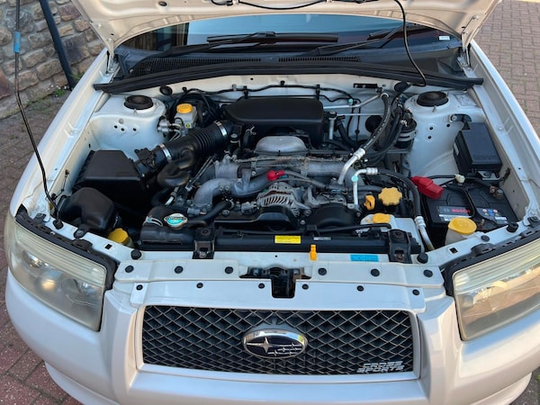 Used Subaru Forester 2006 for sale - 66359401: Photo 20