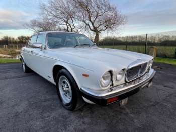 Used Daimler Double Six 1992 for sale - 58833704: Photo