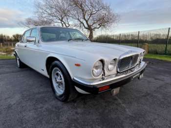 Used Daimler Double Six 1992 for sale - 58833704: Photo