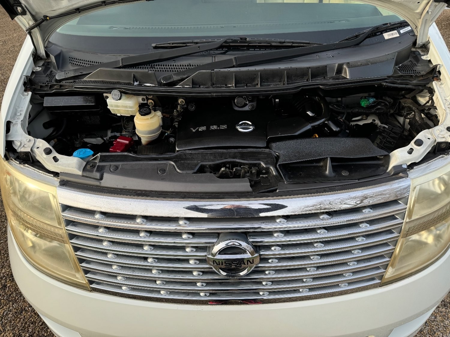 Used Nissan Elgrand 2005 for sale - 76004787: Photo 20