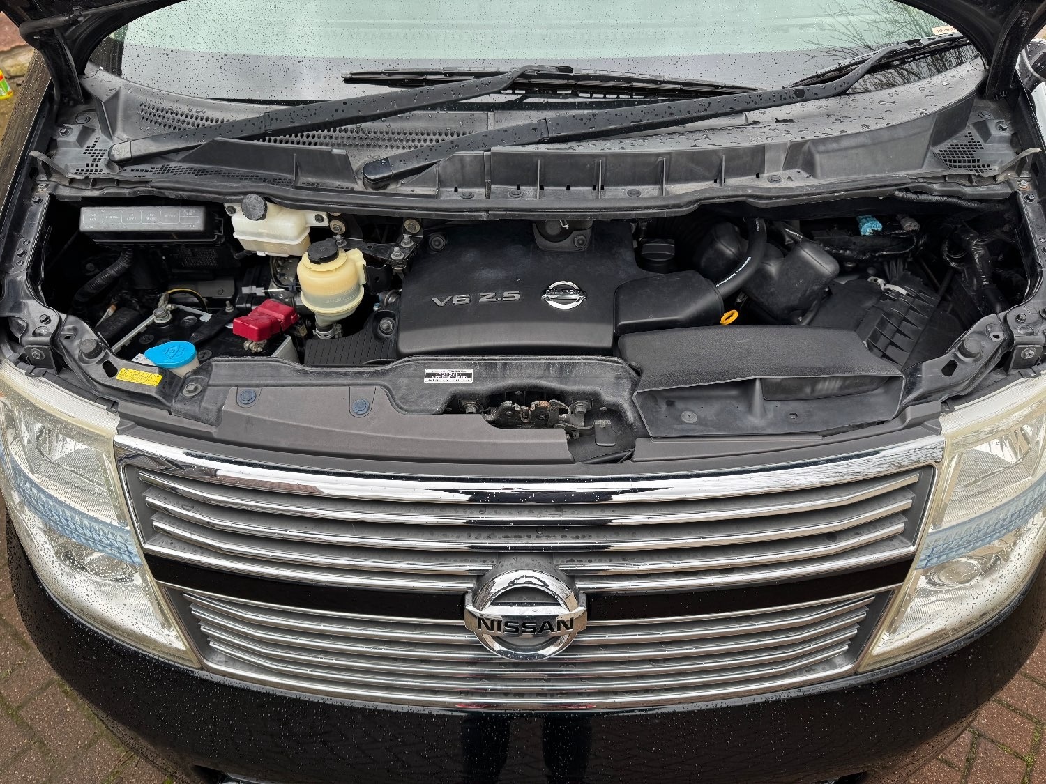 Used Nissan Elgrand 2009 for sale - 76207166: Photo 20