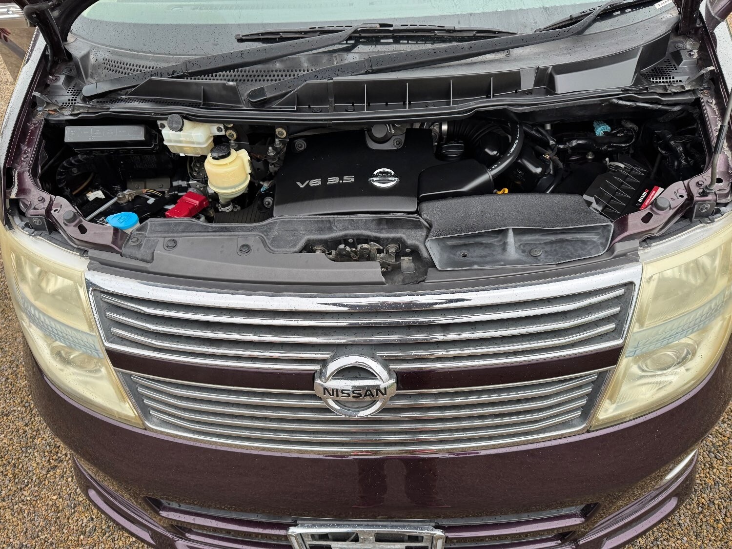 Used Nissan Elgrand 2008 for sale - 76064887: Photo 20