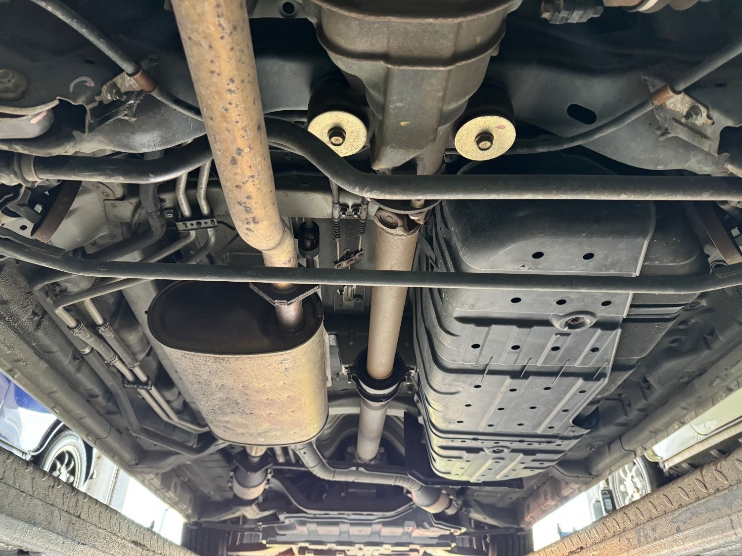 Used Nissan Elgrand 2006 for sale - 75303865: Photo 19