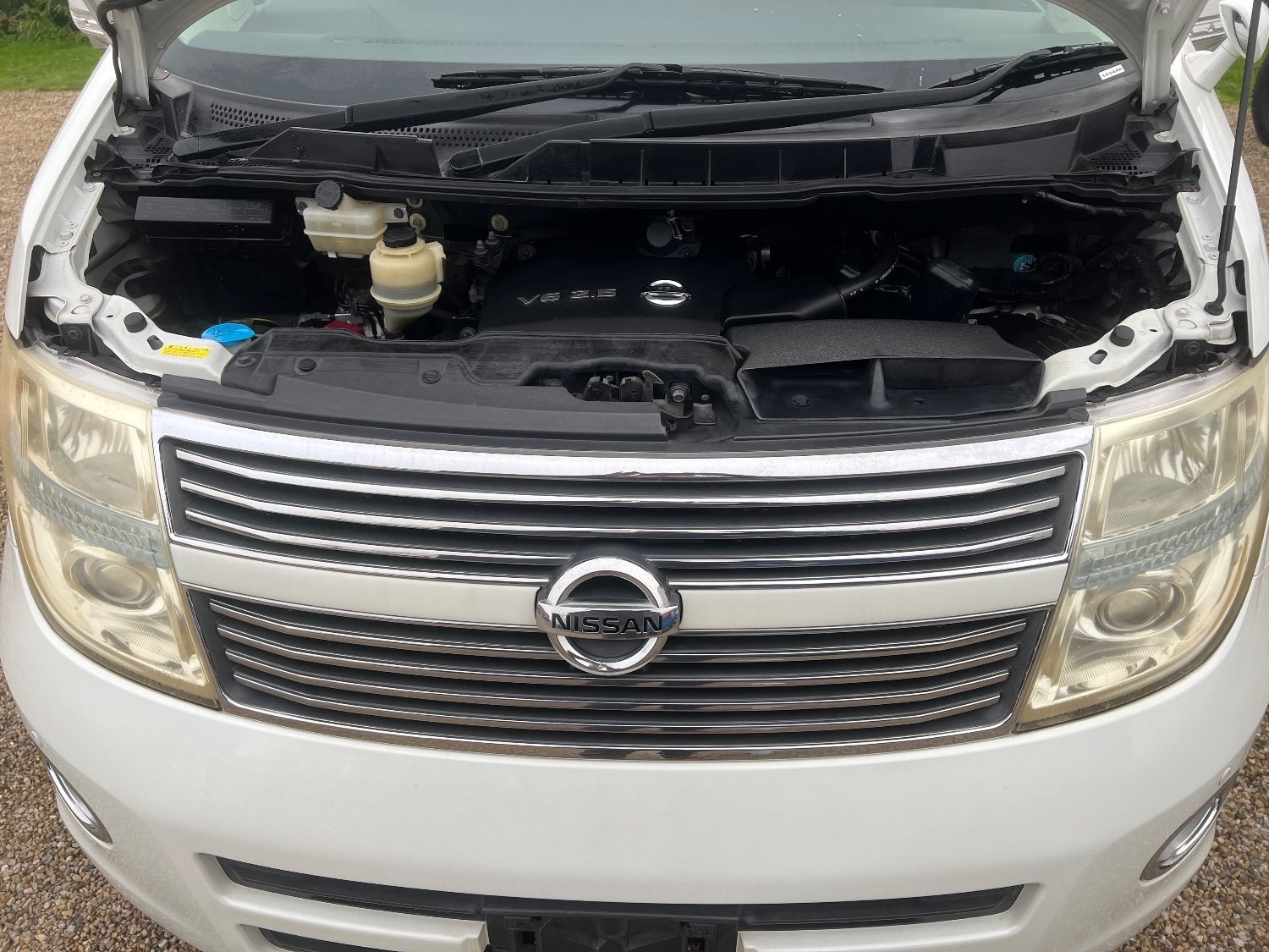 Used Nissan Elgrand 2008 for sale - 75356786: Photo 20